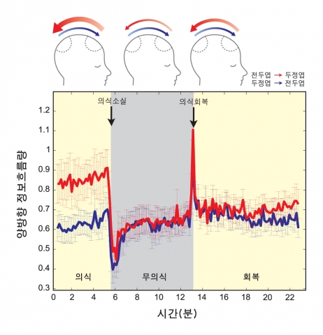 의식 상태, 무의식 상태, 그리고 회복상태에서 전두엽으로 부터 두정엽으로의 정보흐름 양(빨간색)과 두정엽으로부터 전두엽으로의 정보흐름 양(파란색)을 나타냈다. 전체 20개의 뇌파데이터에 대한 평균값(실선)과 표준편차(점선)). 의식소실 이후 전두엽에서 두정엽으로의 정보흐름이 급격히 감소하며 의식이 깨어난 후 점차 전두엽에서 두정엽으로의 정보흐름양이 늘어나고 있다.