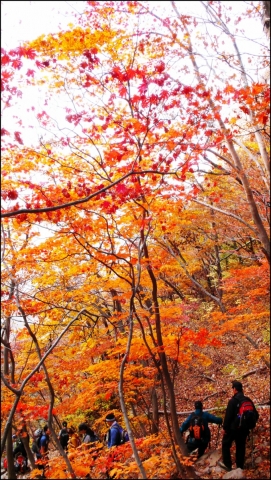 가을 산행을 즐기는 등산객들. 다리의 힘이 풀리는 하산 시 더욱 주의가 필요하다.
