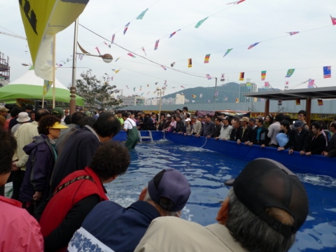 방문자 수 2위 - 부산자갈치축제