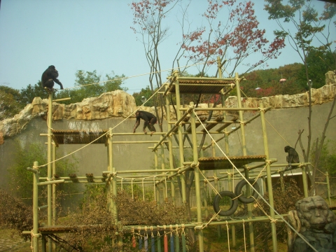 신유인원관