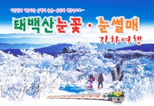 태백산눈꽃열차여행