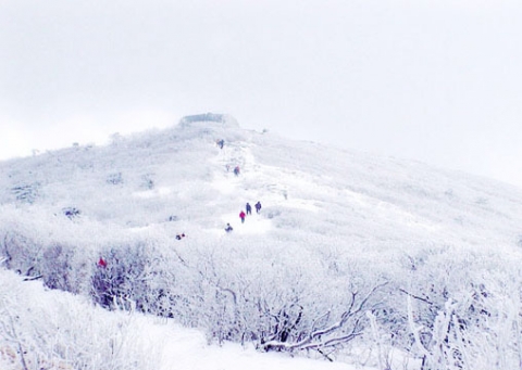 태백산천제단등반