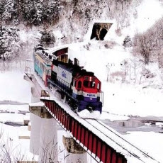 눈꽃열차
