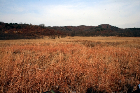 한탄강 만도벌판 자연지역 전경