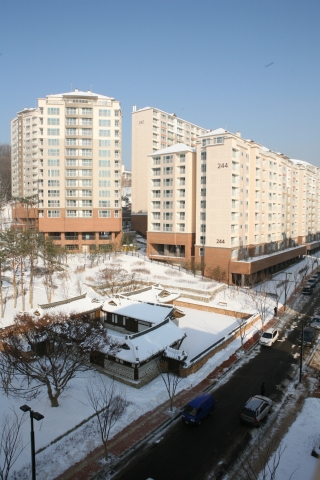 우물골의 금성당