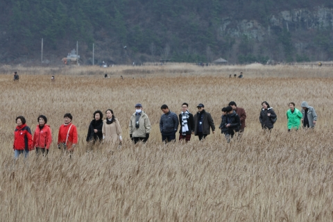 동명대 녹색체험기차여행 순천만장면1