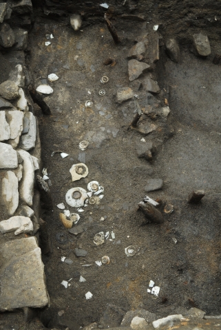 시전에서 출토된 각종 자기류