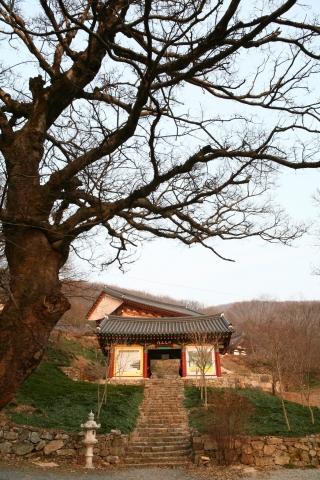 가을이며 꽃무릇이 황홀한 용천사(여행작가 이동미 제공)