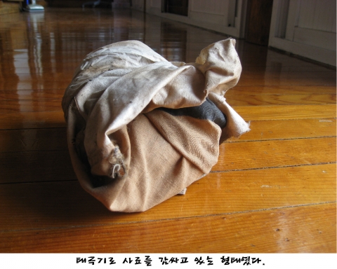서울역사박물관, ‘진관사 태극기’ 展