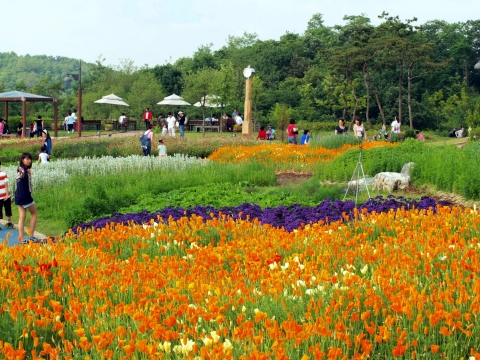 꽃길 [일자산(허브천문)공원]