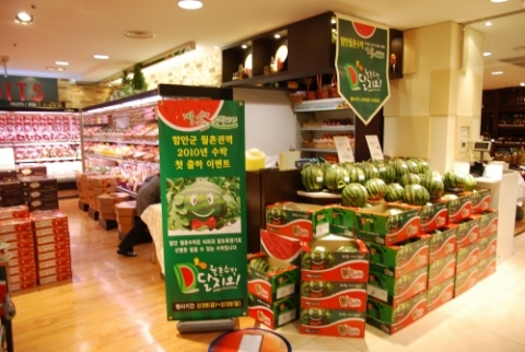 “철없는 겨울수박 가격도 철없네”