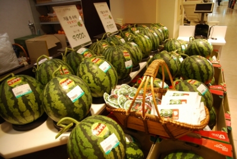 “철없는 겨울수박 가격도 철없네”