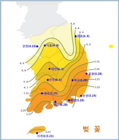 개화 예상시기 분포도