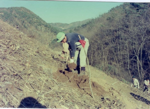 최종현 회장이 지난 1977년 3월 충주 인등산에 나무를 심고 있는 모습