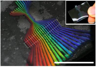 반사색이 연속적으로 변하는 광결정 분광기의 저배율 및 고배율 사진. (분광기가 손톱크기로 초소형화 되었음을 확인할 수 있다)
