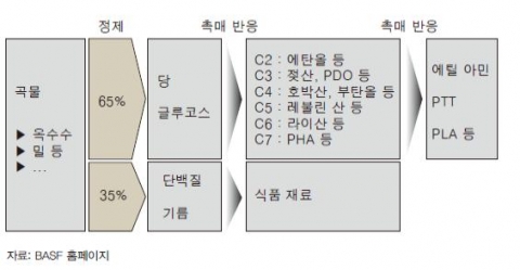 <그림 5> BASF의 바이오 리파이너리 구축 사례