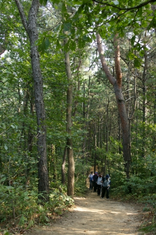 산림욕장