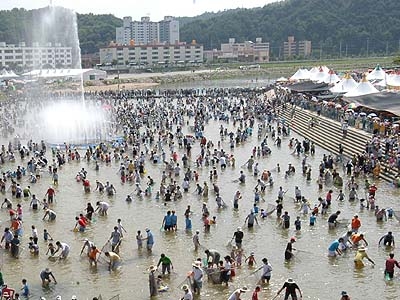 봉화은어축제중에서