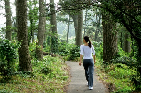 서귀포KAL호텔 산책로