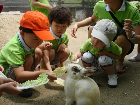 ▲ 토끼와 함께