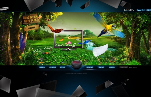 중국 삼성전자 LED TV 마이크로 사이트