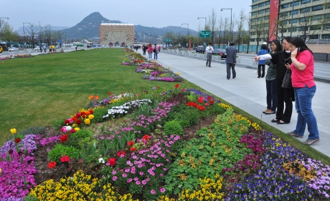 광화문광장 비우고, 잔디와 꽃으로 단장