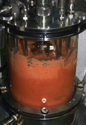 토마토의 빨간색을 내는 항산화제인 라이코펜을 대량 생산하는 대장균 배양 사진. 1리터의 배양액에서 약 280 mg의 라이코펜을 추출할 수 있다.