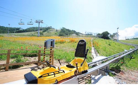 알펜시아 리조트 알파인코스터 17일 개장