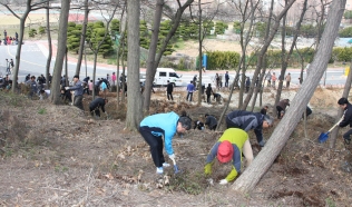 군산대, 남문 및 골프장 야산 주변 철쭉 2,000주 식목