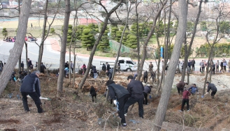 군산대, 남문 및 골프장 야산 주변 철쭉 2,000주 식목