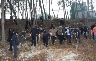 군산대, 남문 및 골프장 야산 주변 철쭉 2,000주 식목