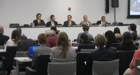 UN 제18차 지속가능발전위원회 정규session(Commission of Sustainable Development-18) 전경 1