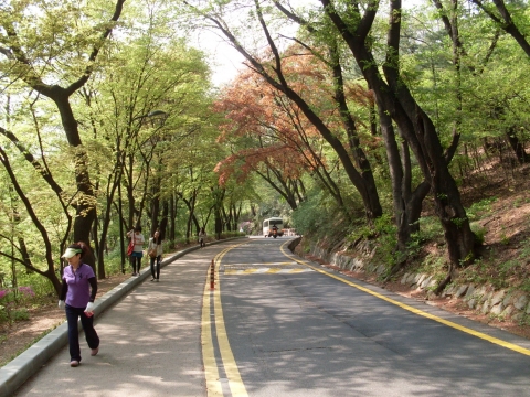 남측순환로에서 산책