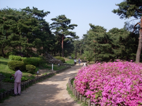 팔도소나무단지