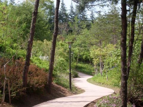 보광배수지 상단 산책로