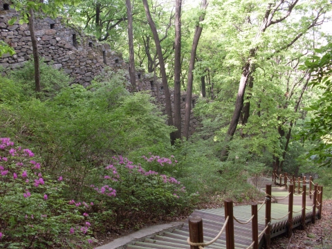 성곽탐방로(남산산악회 방향)