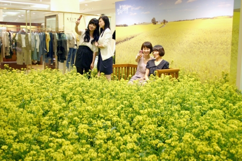 “제주도 아니예요…현대백화점이예요”