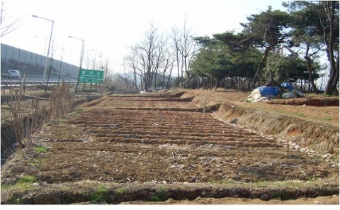 서울시, 훼손된 숲 20ha 자연과 공생하는 생태림으로 조성