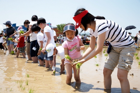 올가 ’환경의 날’ 맞아 친환경 모내기 체험행사 가져