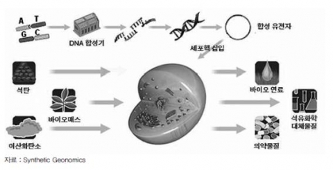 <그림 1> 합성생물학의 원리 및 활용