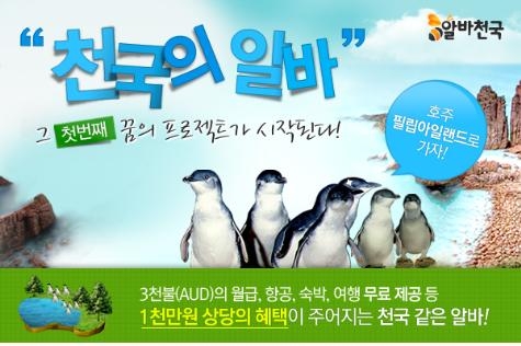 ‘천국의 알바’, 호주 펭귄 먹이주기에 8천명 몰려