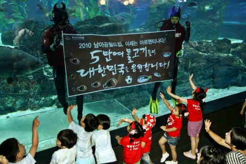 16일 부산아쿠아리움에서 붉은 악마들이 수중 응원카드를 펼치며 아르헨티나전 승리를 기원하고 있다.