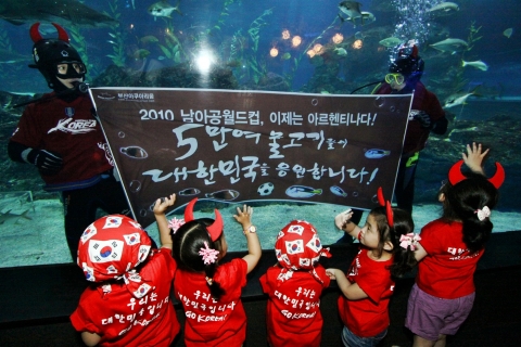 16일 부산아쿠아리움에서 붉은 악마들이 수중 응원카드를 펼치며 아르헨티나전 승리를 기원하고 있다.