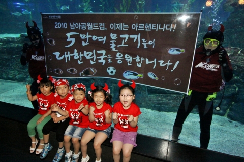 16일 부산아쿠아리움에서 붉은 악마들이 수중 응원카드를 펼치며 아르헨티나전 승리를 기원하고 있다.