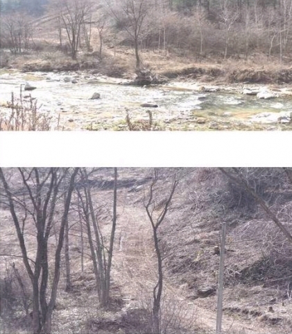 강원도 평창군 면온리 IC 1분 거리 전원토지 29,500원(3.3㎡) 한정매각