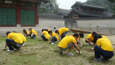 창덕궁의 잡초를 제거하는 DHL코리아 직원들