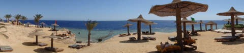 enjoy egypt