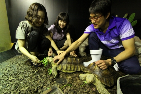 9일, 부산아쿠아리움 ‘아프리카 생태전’에서 전시 중인 ‘설가타거북’이 먹이를 먹고 있다.
