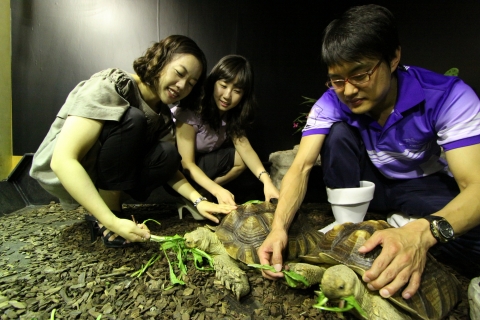 9일, 부산아쿠아리움 ‘아프리카 생태전’에서 전시 중인 ‘설가타거북’이 먹이를 먹고 있다.