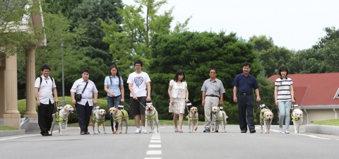 삼성화재, 시각장애인 안내견 8頭 기증해